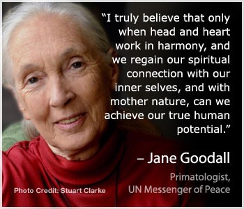 Jane-Goodall
